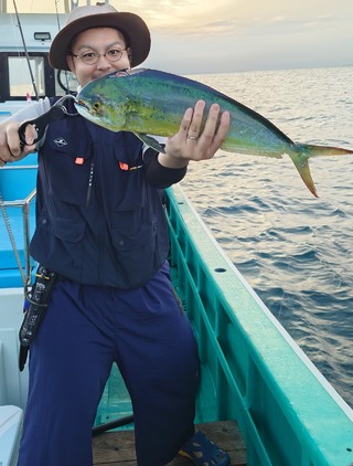 シイラ
