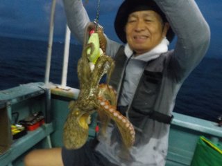 マダコ