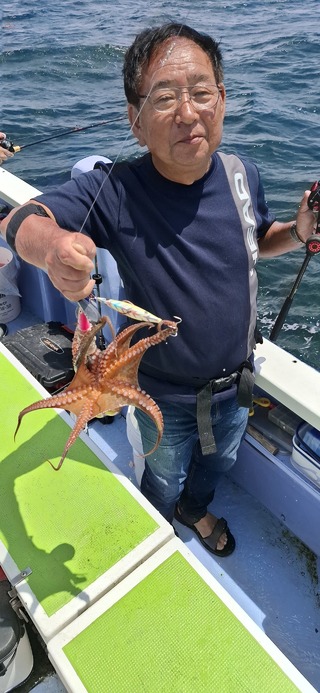 タコ