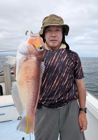 アマダイ