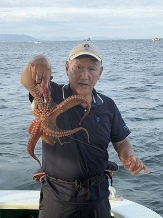 タコ
