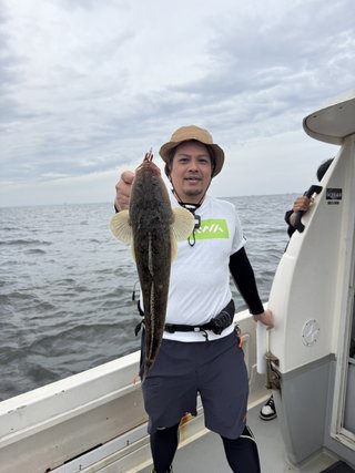 マゴチ