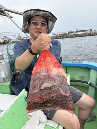 タコ