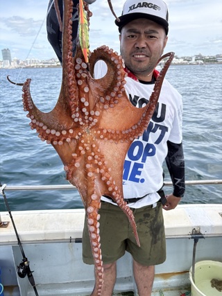 マダコ