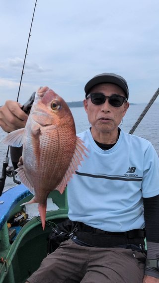 マダイ