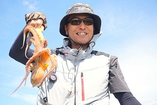 マダコ
