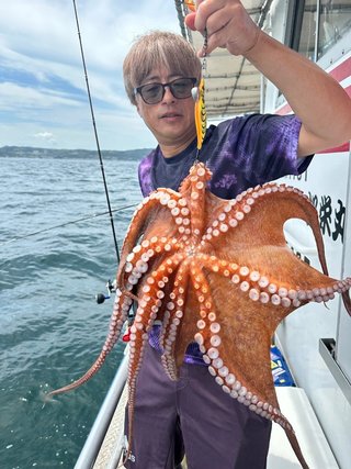 タコ