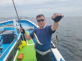 シロギス