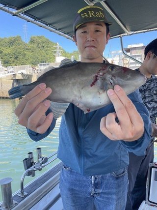 ウマヅラ