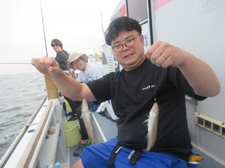 シロギス