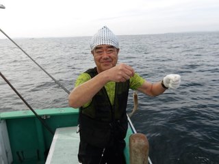 シロギス