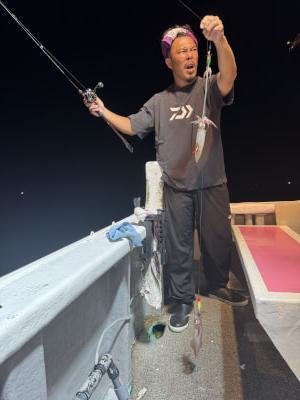 アカイカ