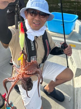 タコ
