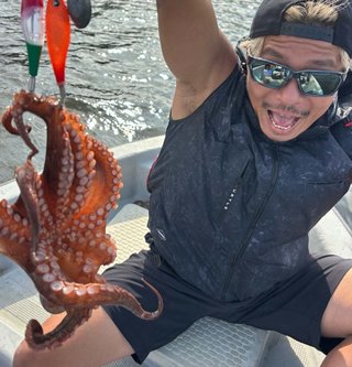 タコ