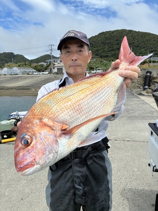マダイ