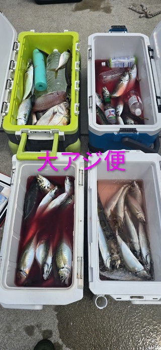 アジ