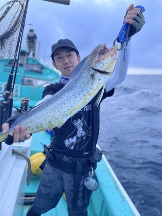 シイラ