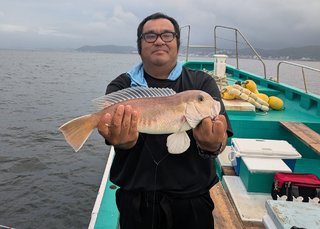 シロアマダイ