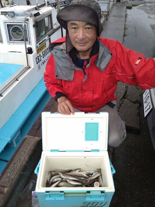 シロギス