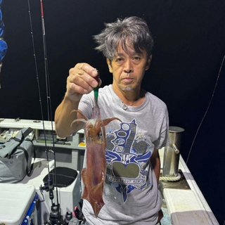 アカイカ