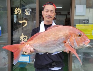 マダイ