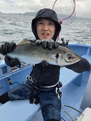 アジ
