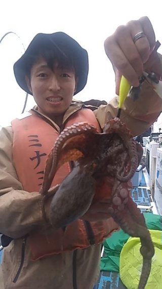 マダコ