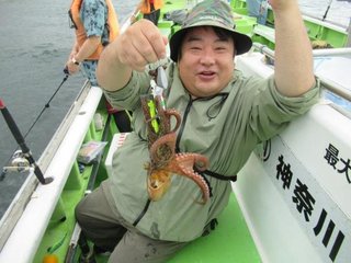 マダコ
