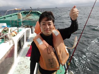 シロギス