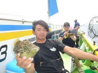 カワハギ