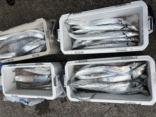タチウオ