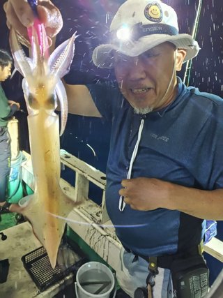 シロイカ