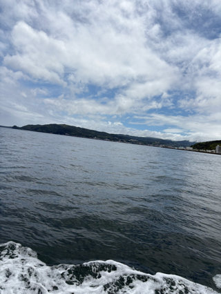 カイワリ