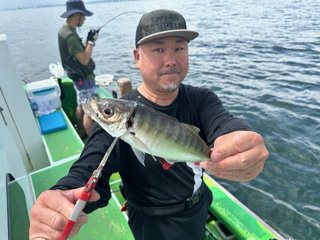 マアジ