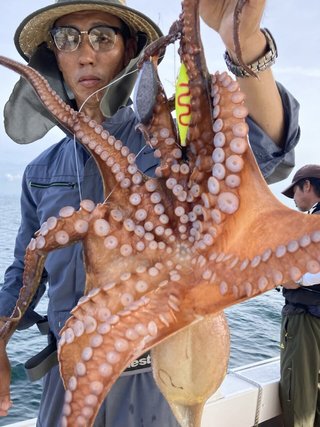 タコ