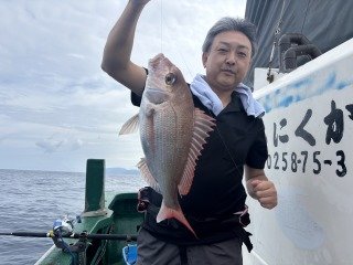 マダイ