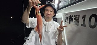 アカイカ
