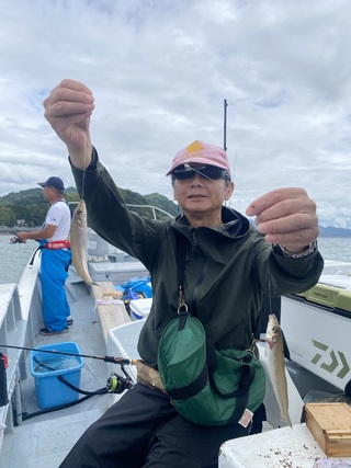 シロギス