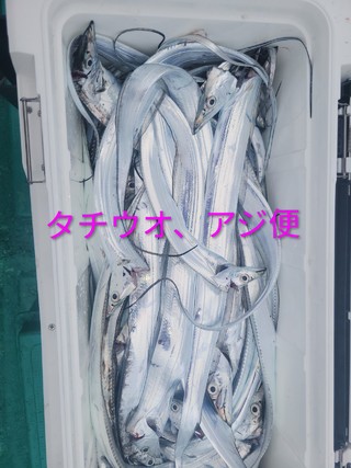 タチウオ