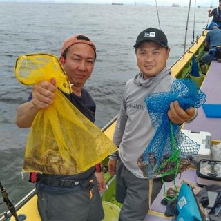 マダコ