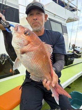 マダイ
