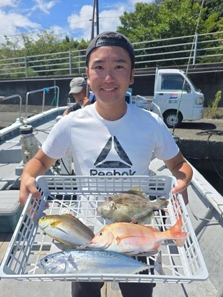 マダイ