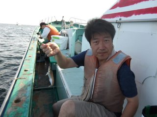 シロギス