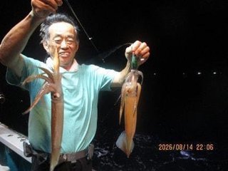 アカイカ