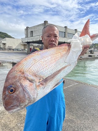 マダイ