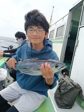カツオ