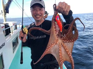 タコ