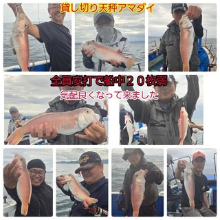 シロアマダイ