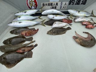 ヒラメ