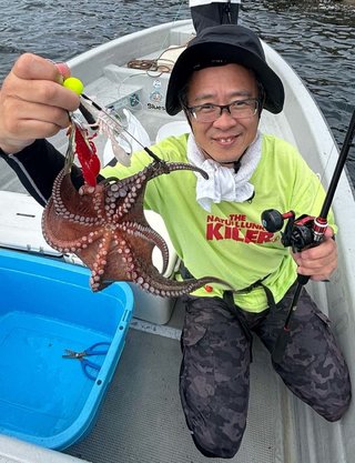 タコ